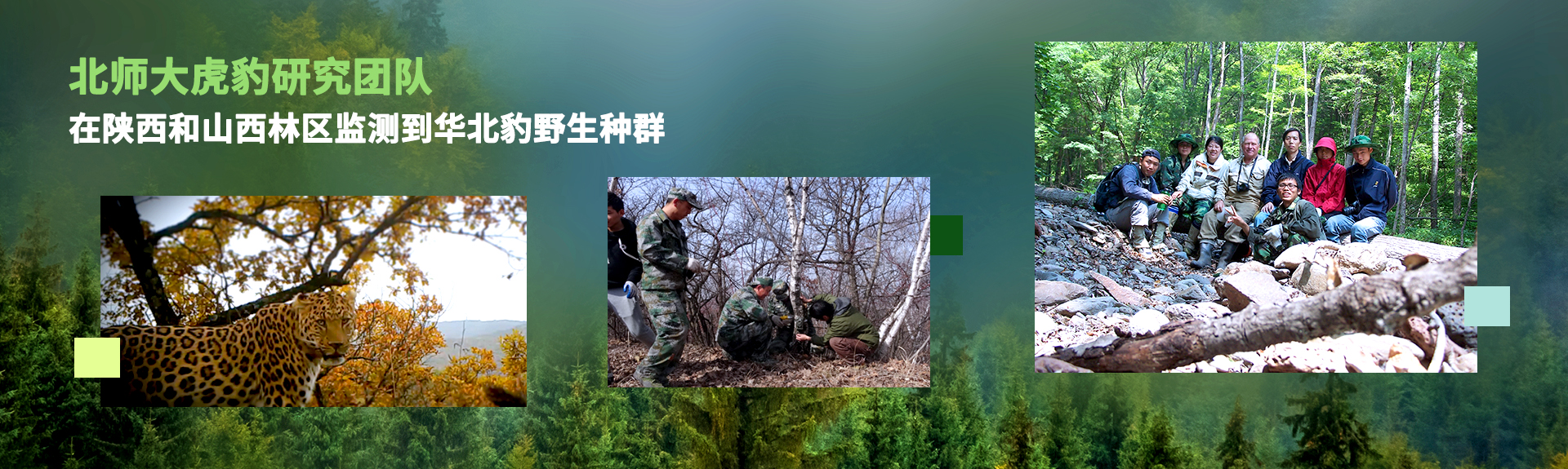 ԽᡤGEG(й)ɷ޹˾