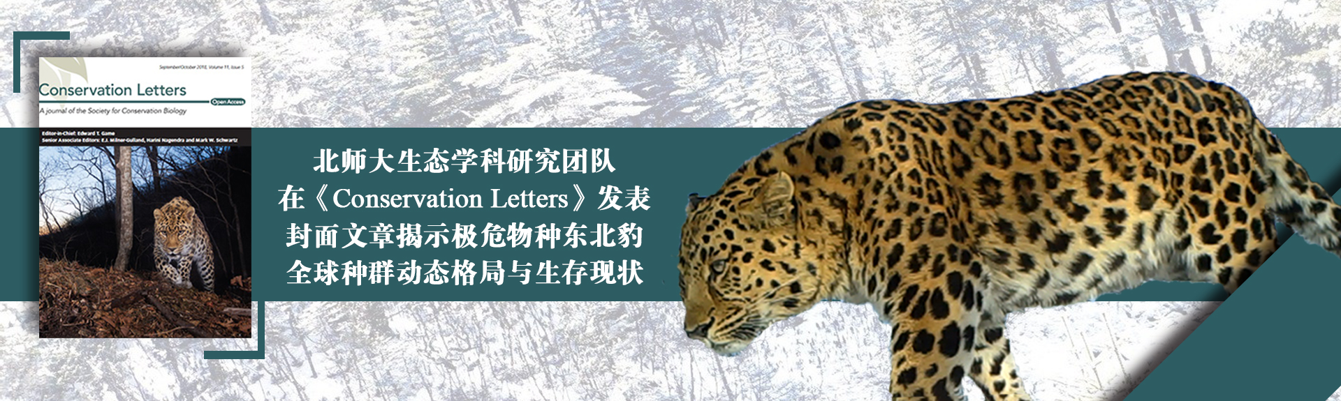 ԽᡤGEG(й)ɷ޹˾