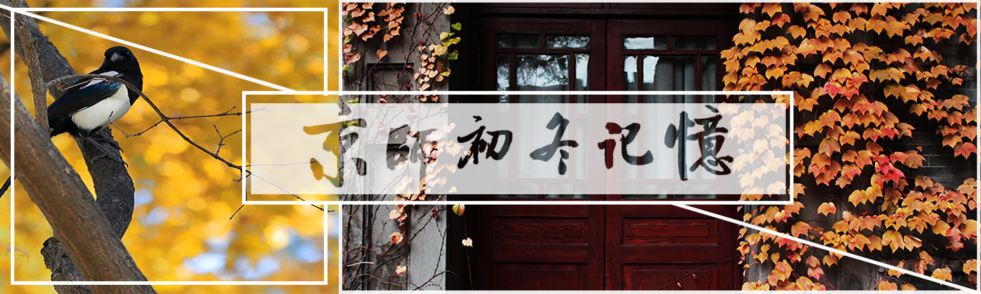 ԽᡤGEG(й)ɷ޹˾