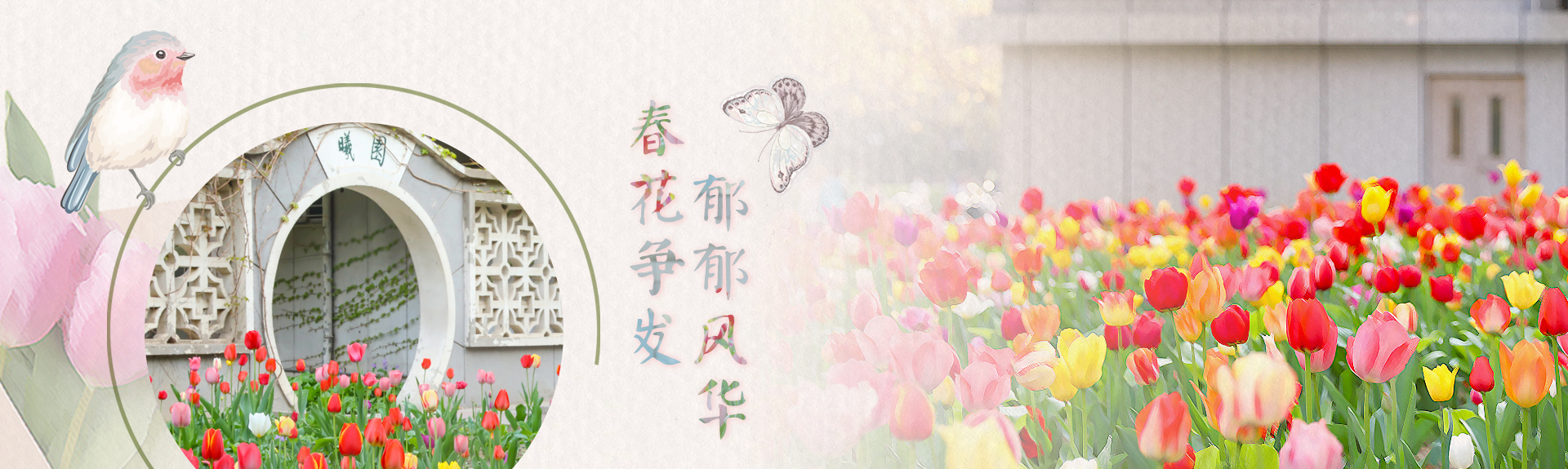 ԽᡤGEG(й)ɷ޹˾