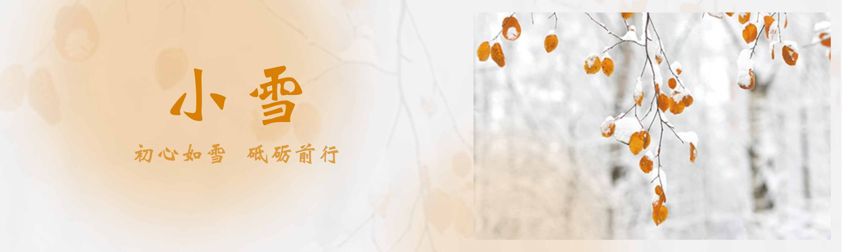 ԽᡤGEG(й)ɷ޹˾